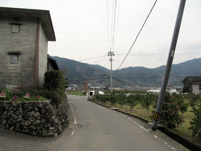 t13_225.jpg