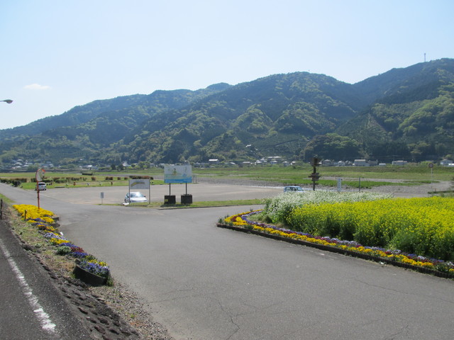 t13_229.jpg