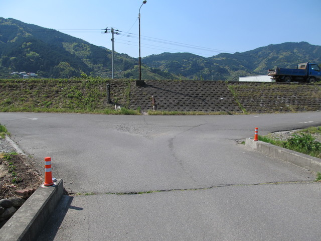 t13_234.jpg