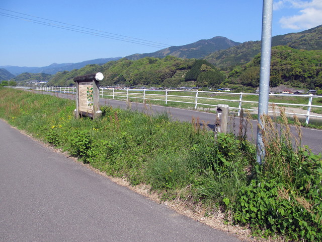 t13_238.jpg