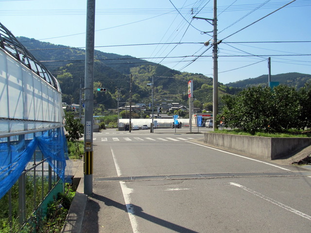 t13_242.jpg