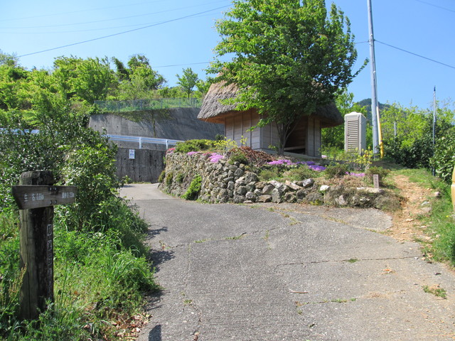 t14_026.jpg