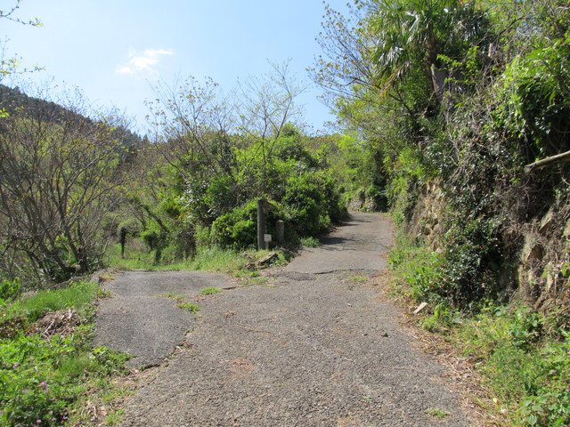 t14_035.jpg