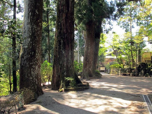 t14_078.jpg