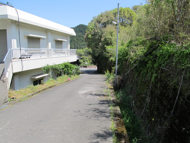 t14_141.jpg
