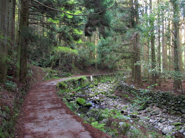 t15_028.jpg