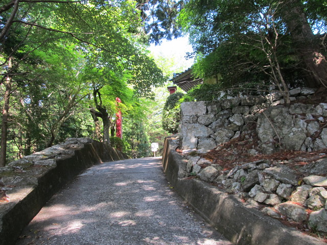 t15_065.jpg