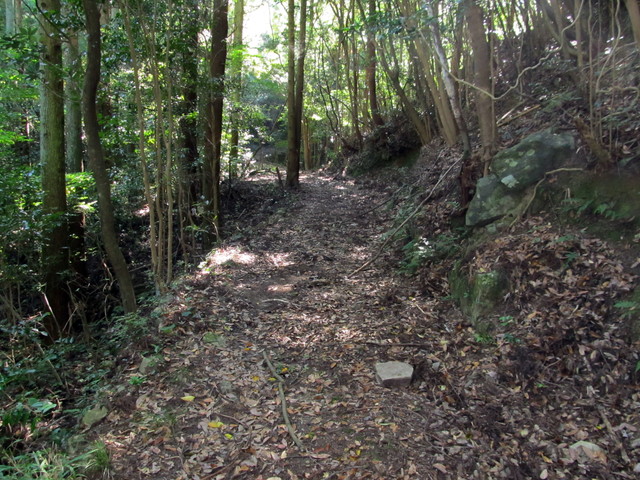 t17_070.jpg