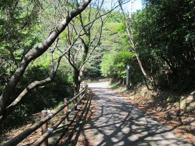 t18_055.jpg