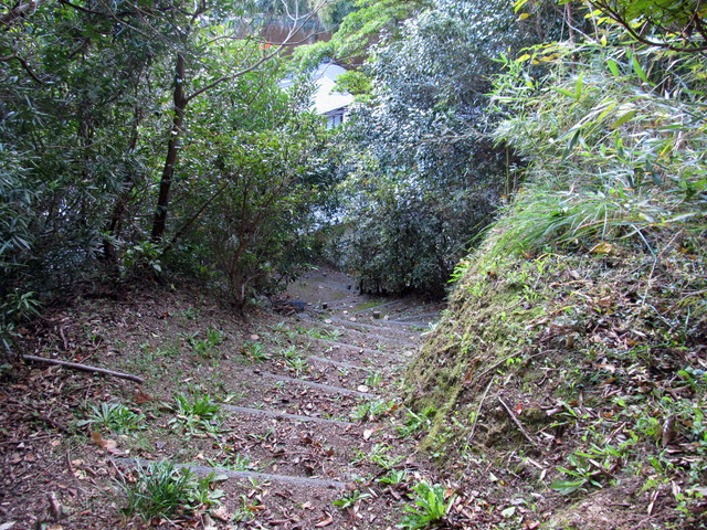t19_070.jpg