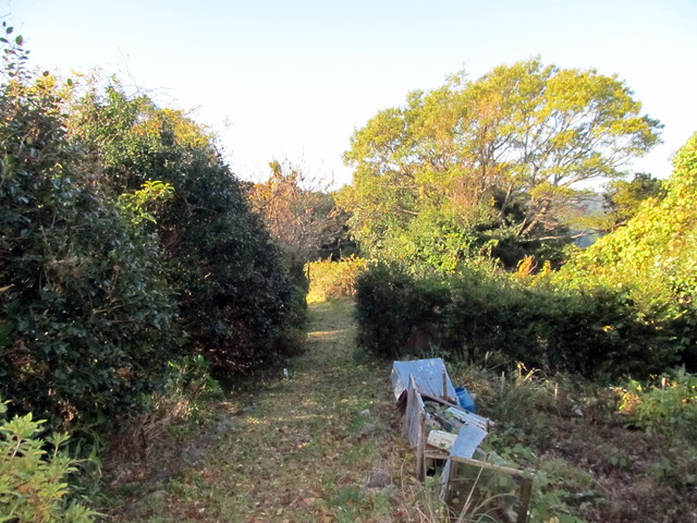 t19_075.jpg