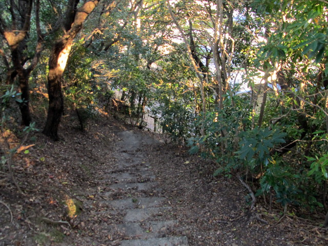 t19_100.jpg