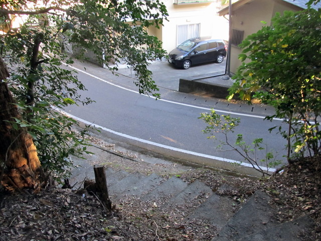 t19_101.jpg