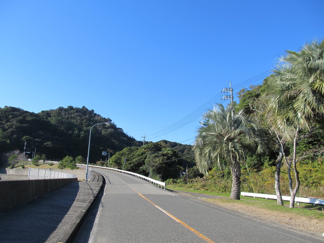t19_118.jpg