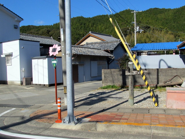 t19_317.jpg