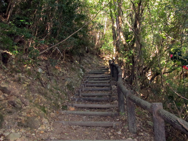 t19_322.jpg