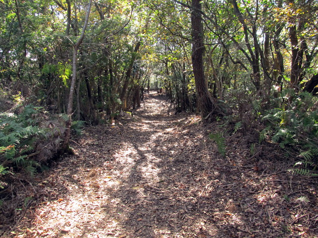 t19_355.jpg