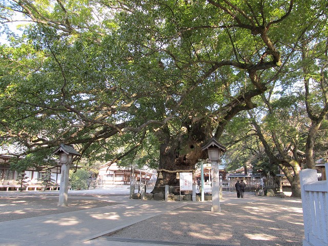 t02_008.jpg