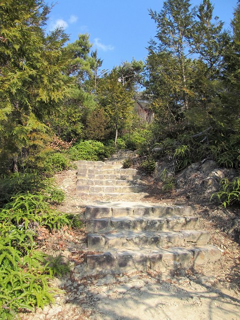 t02_018.jpg