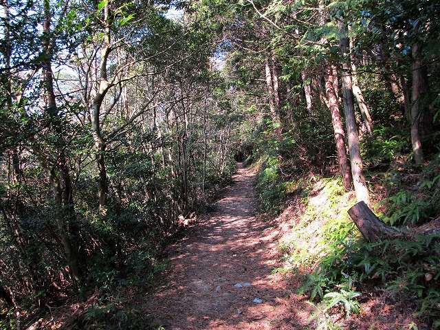 t02_038.jpg