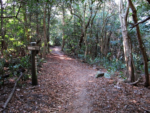 t02_040.jpg