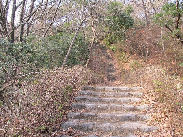 t02_070.jpg