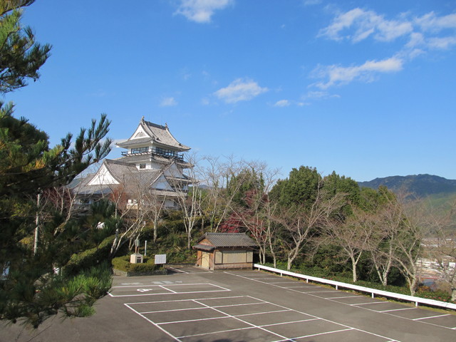 t20_021.jpg