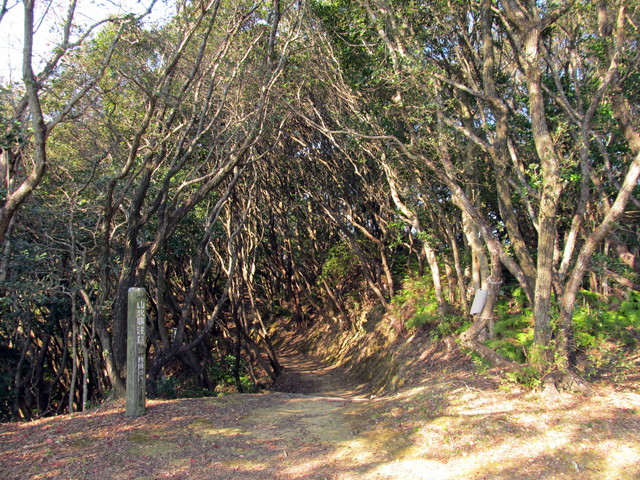 t20_035.jpg