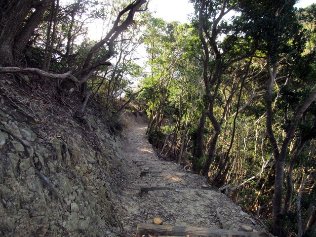 t20_085.jpg