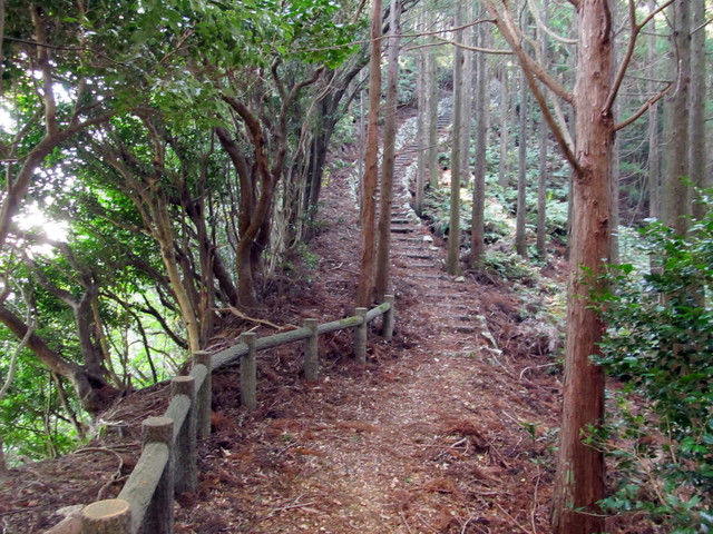 t20_132.jpg