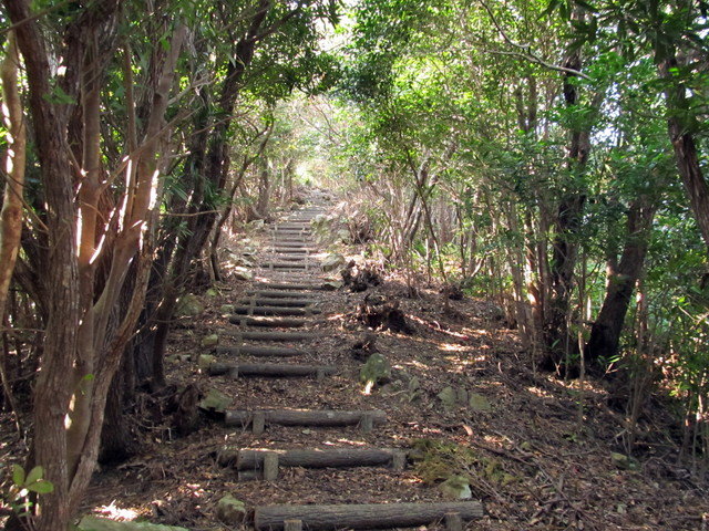 t20_195.jpg