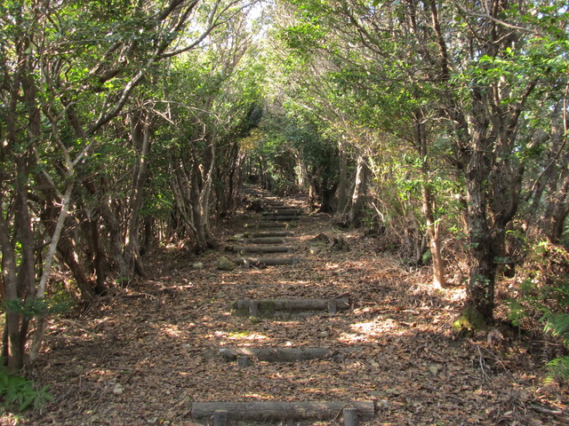 t20_197.jpg
