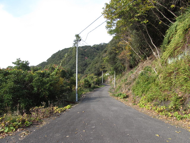 t21_133.jpg