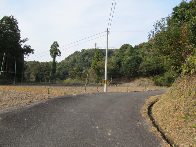 t21_144.jpg