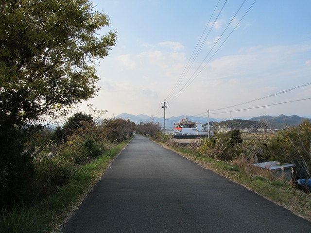 t23_111.jpg