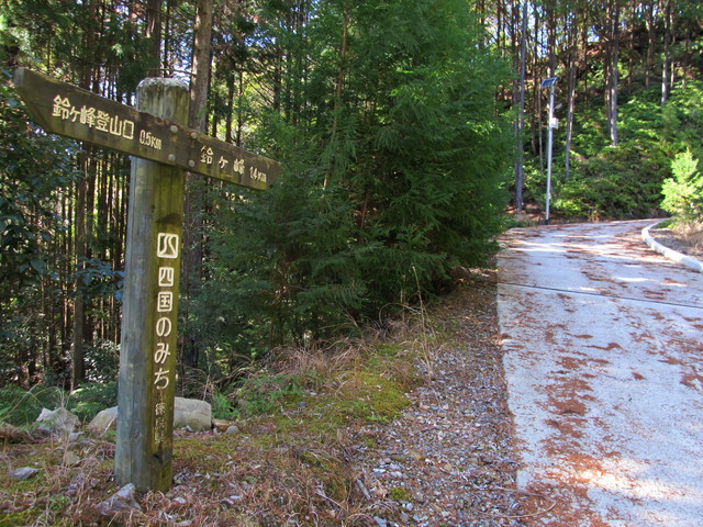 t24_097.jpg