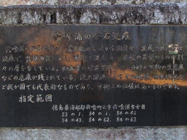 t24_188.jpg