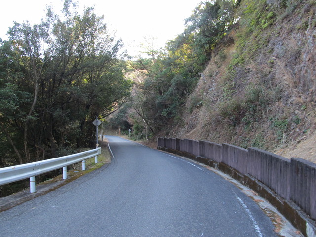 t24_192.jpg