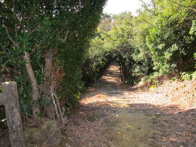 t24_224.jpg