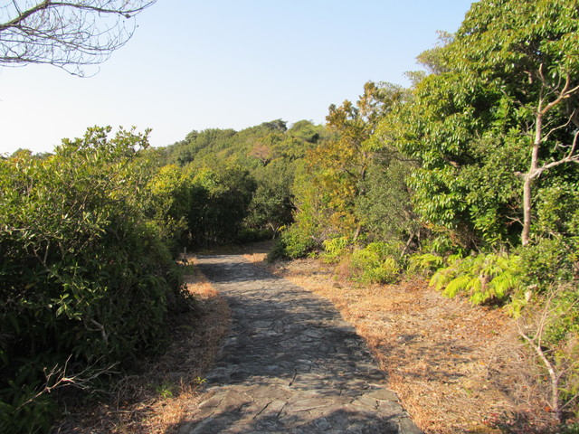 t24_237.jpg