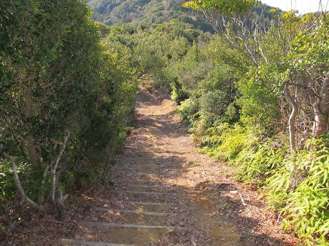 t24_244.jpg