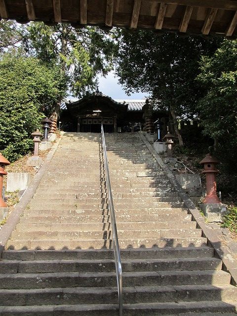 t03_015.jpg