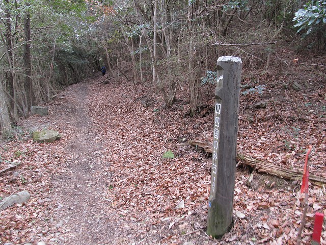t04_014.jpg