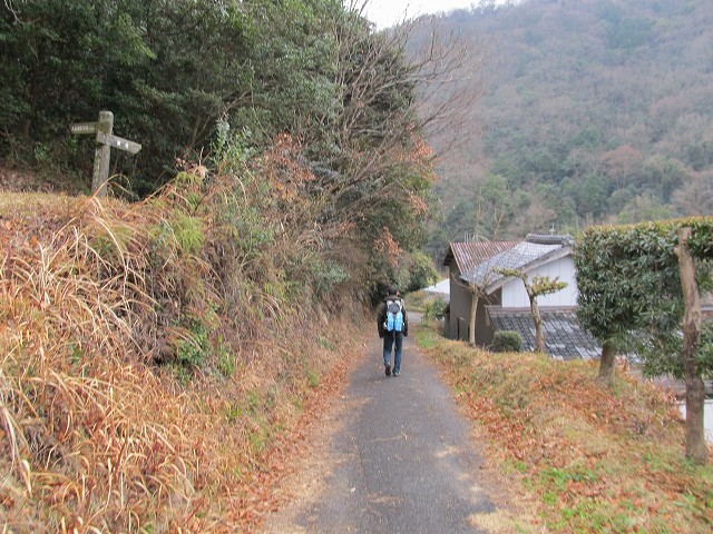 t04_053.jpg