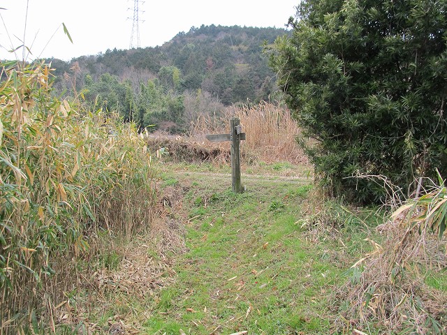 t04_089.jpg