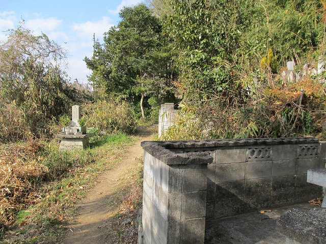t05_020.jpg
