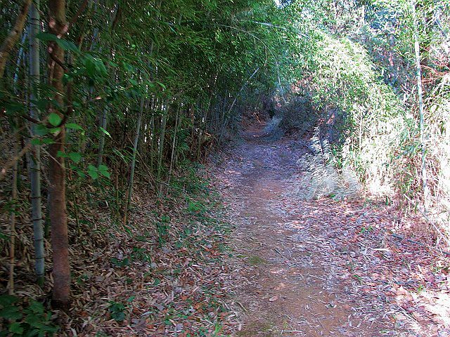 t05_053.jpg