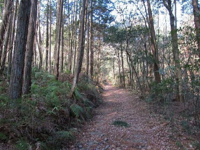 t05_071.jpg