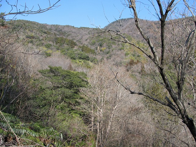 t05_077.jpg