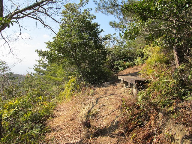 t05_106.jpg